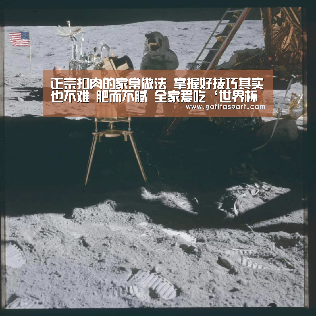 2026赛程